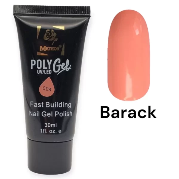 poly004